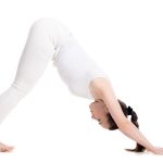 Mastering the Sun Salutation: A Complete Guide to Full Bodyweight Workouts Mastering the Sun Salutation: A Complete Guide to Full Bodyweight Workouts